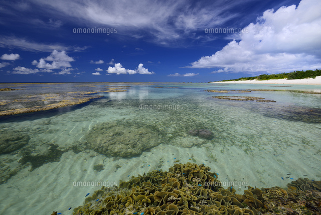 宮古列島の多良間島のサンゴ礁の海と熱帯魚
(c)SHIGEYUKI UENISHI/SEBUN PHOTO