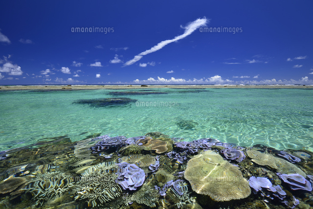 宮古島の東平安名崎の海岸
(c)SHIGEYUKI UENISHI/SEBUN PHOTO