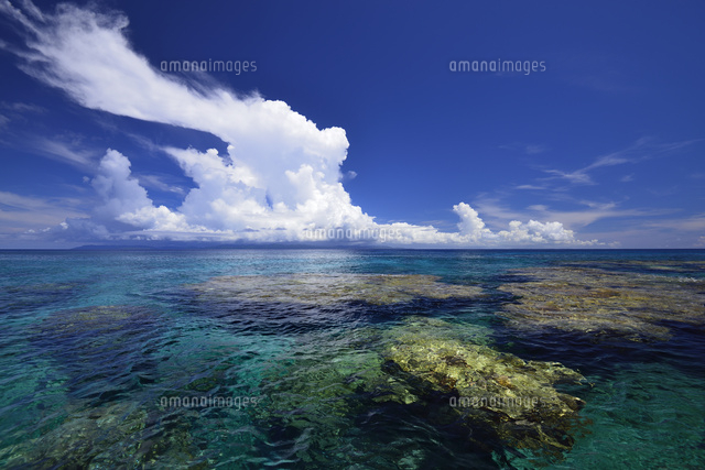 珊瑚礁の海
(c)SHIGEYUKI UENISHI/SEBUN PHOTO