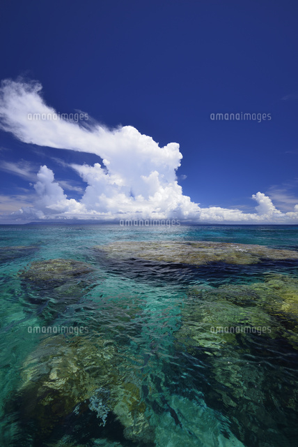 珊瑚礁の海
(c)SHIGEYUKI UENISHI/SEBUN PHOTO