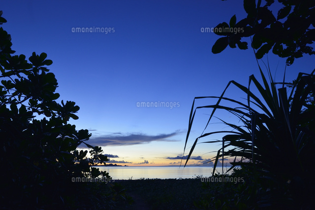 たそがれ時の海岸
(c)SHIGEYUKI UENISHI/SEBUN PHOTO