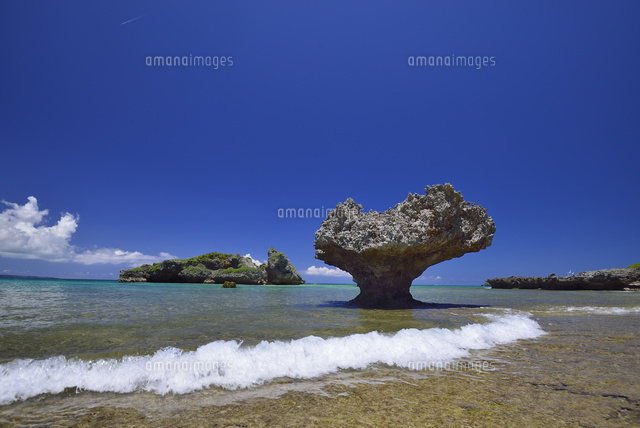 珊瑚礁の海
(c)SHIGEYUKI UENISHI/SEBUN PHOTO