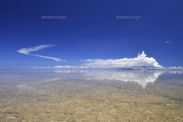 凪の海
(c)SHIGEYUKI UENISHI/SEBUN PHOTO