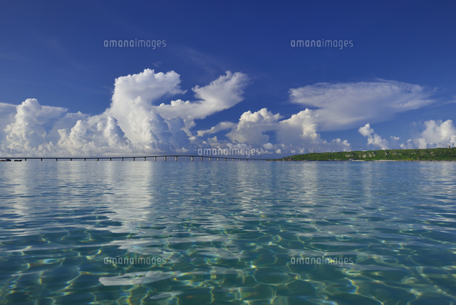 朝の海
(c)SHIGEYUKI UENISHI/SEBUN PHOTO