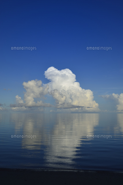 朝の海
(c)SHIGEYUKI UENISHI/SEBUN PHOTO