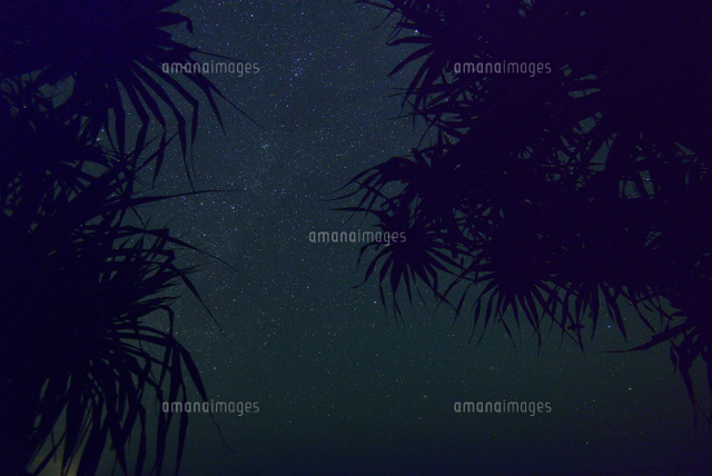 熱帯植物の茂る海岸と星
(c)SHIGEYUKI UENISHI/SEBUN PHOTO
