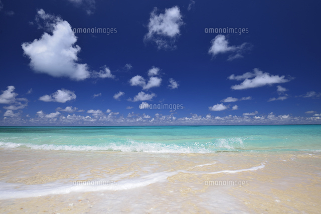 白砂の海岸
(c)SHIGEYUKI UENISHI/SEBUN PHOTO