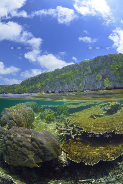 宮古諸島伊良部島の海中風景
(c)SHIGEYUKI UENISHI/SEBUN PHOTO