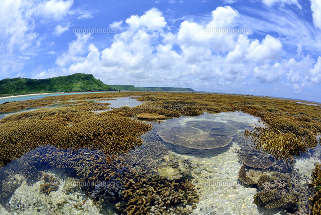 宮古島の海
(c)SHIGEYUKI UENISHI/SEBUN PHOTO