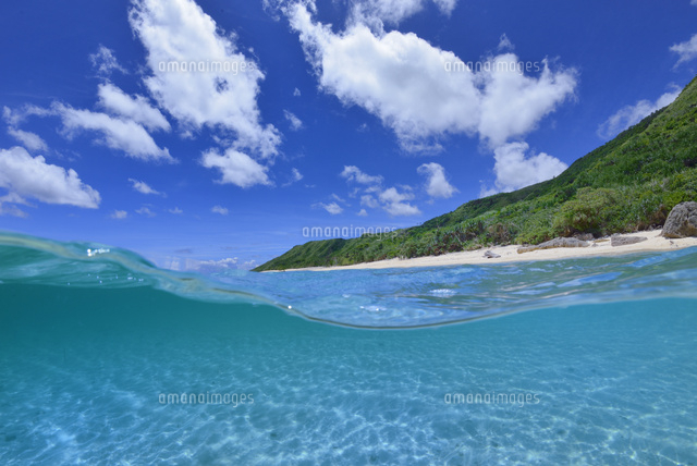 半水面の宮古島の海
(c)SHIGEYUKI UENISHI/SEBUN PHOTO