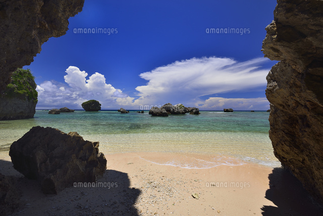 珊瑚礁の海
(c)SHIGEYUKI UENISHI/SEBUN PHOTO