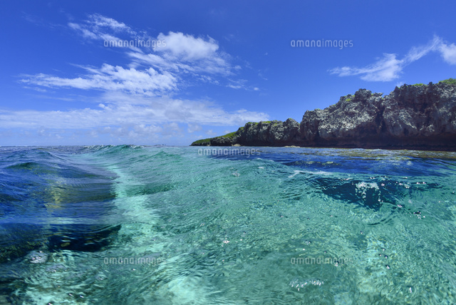 珊瑚礁の海
(c)SHIGEYUKI UENISHI/SEBUN PHOTO