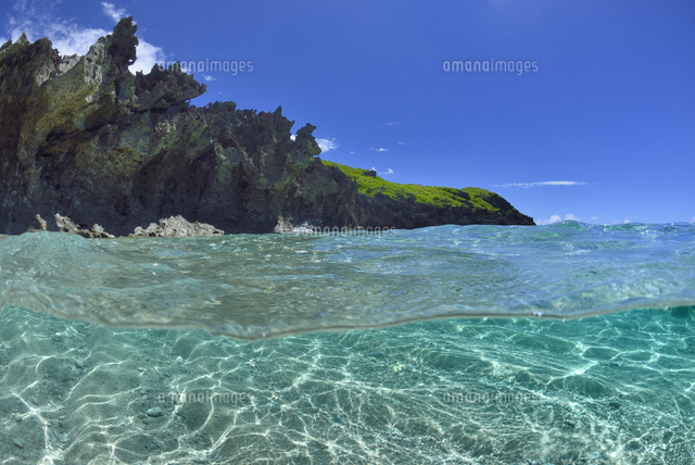 珊瑚礁の海
(c)SHIGEYUKI UENISHI/SEBUN PHOTO