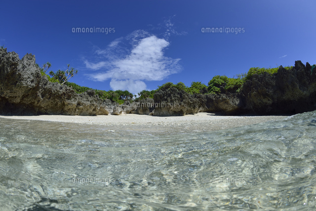 珊瑚礁の海
(c)SHIGEYUKI UENISHI/SEBUN PHOTO