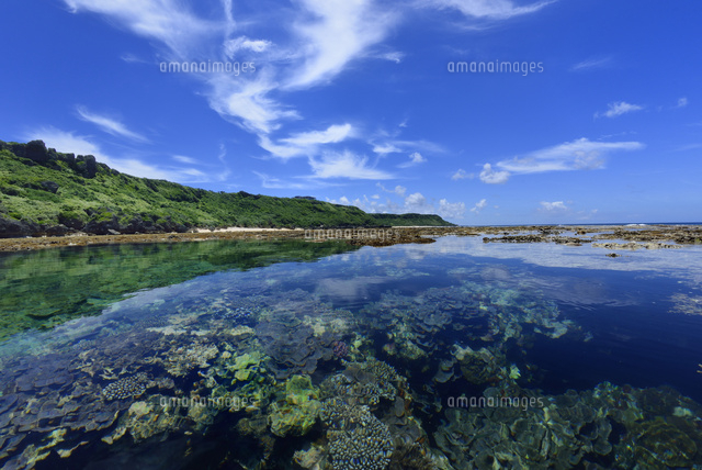 珊瑚礁のある海
(c)SHIGEYUKI UENISHI/SEBUN PHOTO