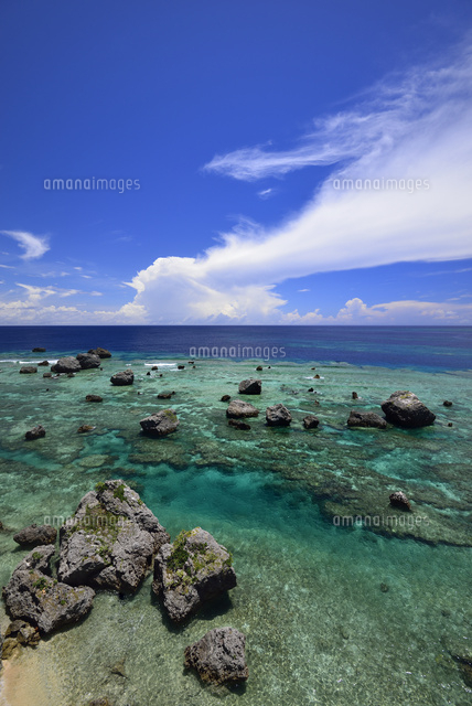 珊瑚礁の海
(c)SHIGEYUKI UENISHI/SEBUN PHOTO