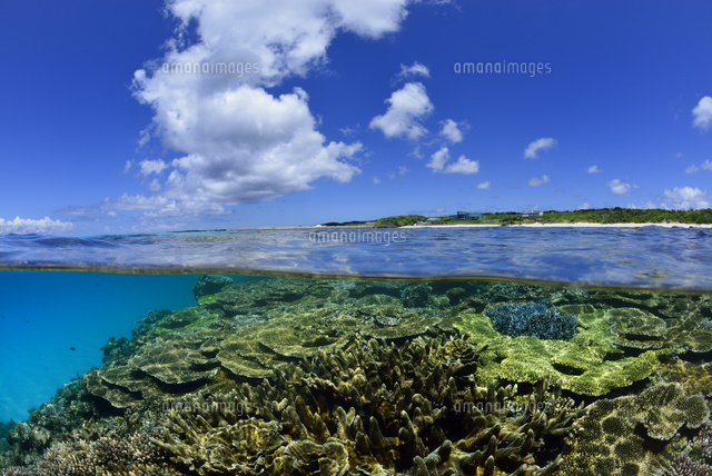 波照間島の海
(c)SHIGEYUKI UENISHI/SEBUN PHOTO