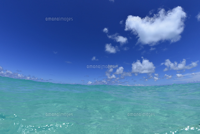沖縄宮古の海
(c)SHIGEYUKI UENISHI/SEBUN PHOTO