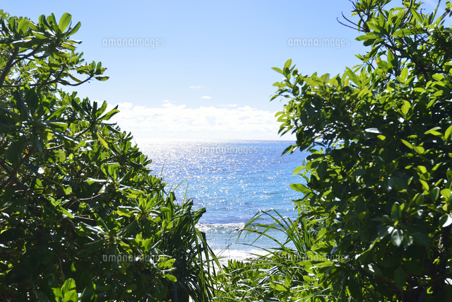 午後の海
(c)SHIGEYUKI UENISHI/SEBUN PHOTO