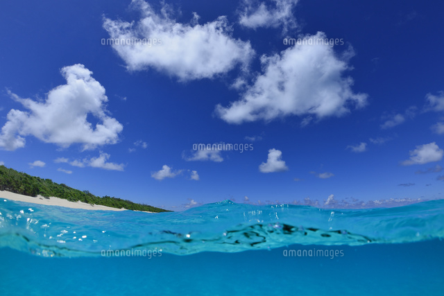 沖縄宮古の海
(c)SHIGEYUKI UENISHI/SEBUN PHOTO