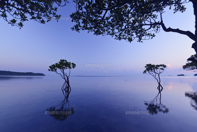 朝の西表島
(c)SHIGEYUKI UENISHI/SEBUN PHOTO