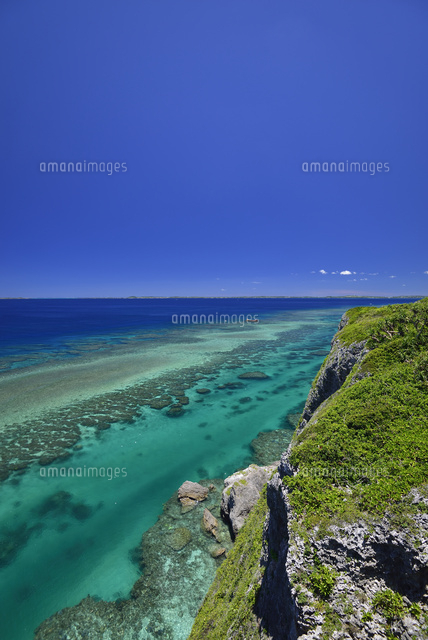 珊瑚礁の海
(c)SHIGEYUKI UENISHI/SEBUN PHOTO