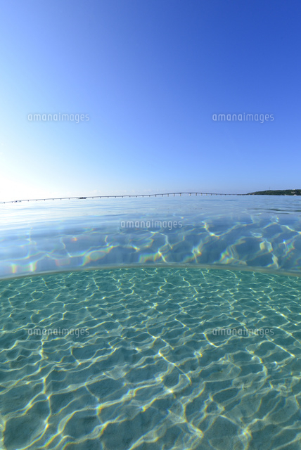 宮古島の朝の海 半水面
(c)SHIGEYUKI UENISHI/SEBUN PHOTO