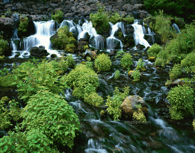 ふきだし公園の渓流 京極町 北海道
(c)MASANOBU HIROSE/SEBUN PHOTO