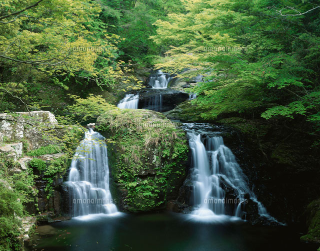 新緑の荷担滝と赤目四十八滝 三重県
(c)MASANOBU HIROSE/SEBUN PHOTO