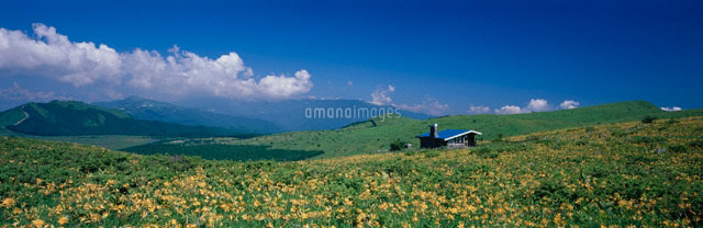 ニッコウキスゲの咲く霧ヶ峰 長野県
(c)MASANOBU HIROSE/SEBUN PHOTO