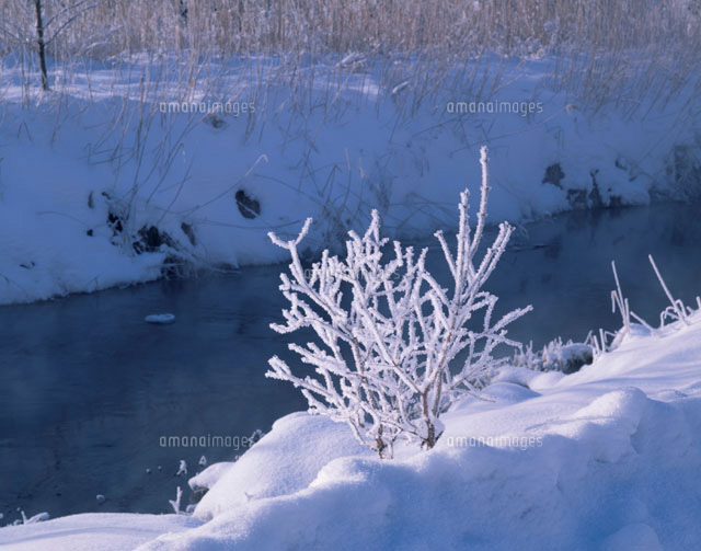 霧氷 山梨県
(c)MASANOBU HIROSE/SEBUN PHOTO