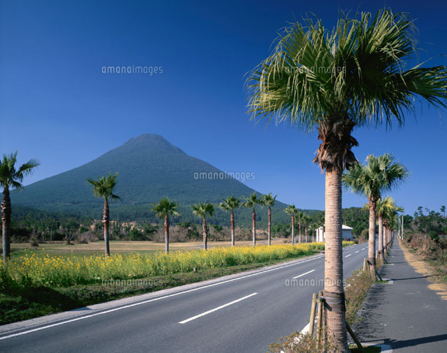 開聞岳と道路 開聞町 鹿児島県
(c)MASANOBU HIROSE/SEBUN PHOTO
