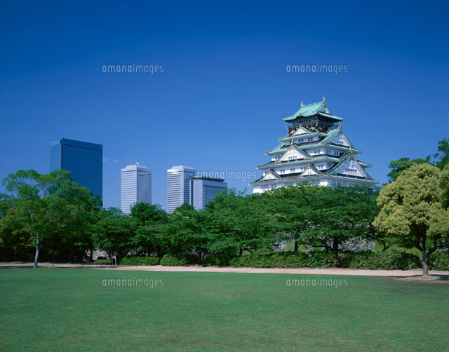 西ノ丸庭園からの大阪城 大阪市 大阪府
(c)MASANOBU HIROSE/SEBUN PHOTO