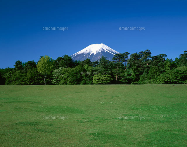 芝生と森林の向こうの富士山 山梨県
(c)MASANOBU HIROSE/SEBUN PHOTO