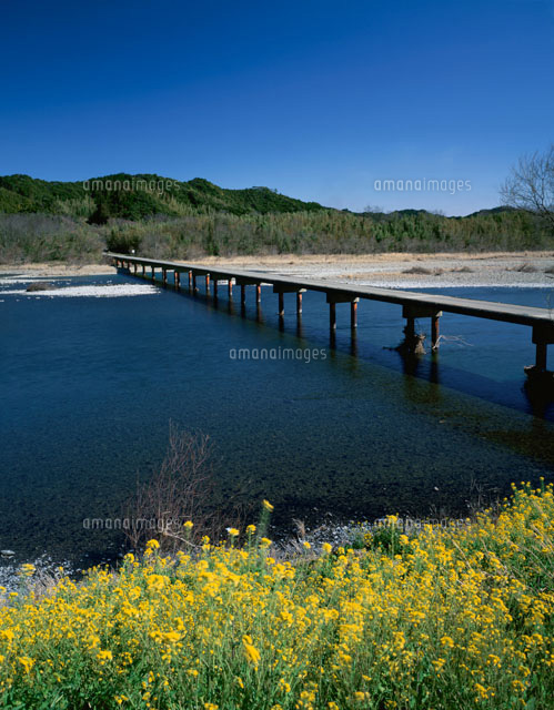 四万十川 佐田の沈下橋と菜の花 高知県
(c)MASANOBU HIROSE/SEBUN PHOTO