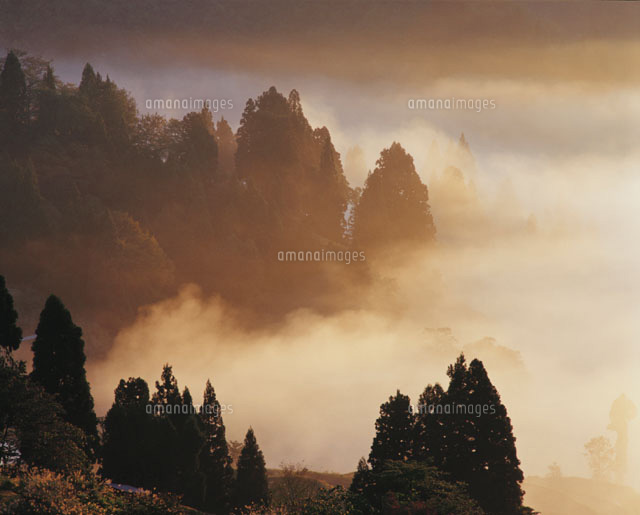 山古志村の雲海 新潟県
(c)MASANOBU HIROSE/SEBUN PHOTO