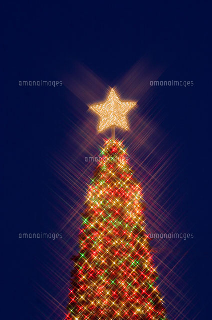 ライトアップされたクリスマスツリー
(c)MASANOBU HIROSE/SEBUN PHOTO