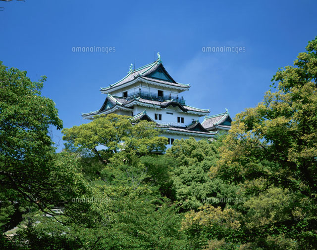 樹木と和歌山城 和歌山県
(c)MASANOBU HIROSE/SEBUN PHOTO