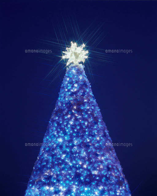 クリスマスツリーのイルミネーション
(c)MASANOBU HIROSE/SEBUN PHOTO
