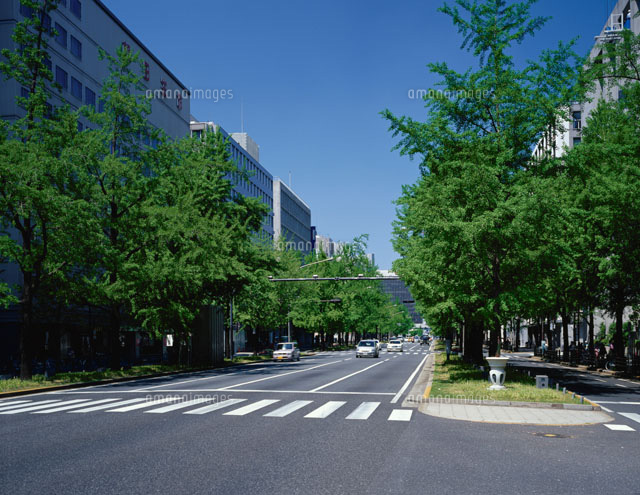 新緑の街路樹
(c)MASANOBU HIROSE/SEBUN PHOTO