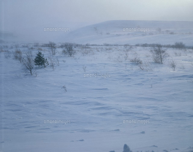 冬の八幡平の地吹雪
(c)KOICHIRO KITAOKU/SEBUN PHOTO