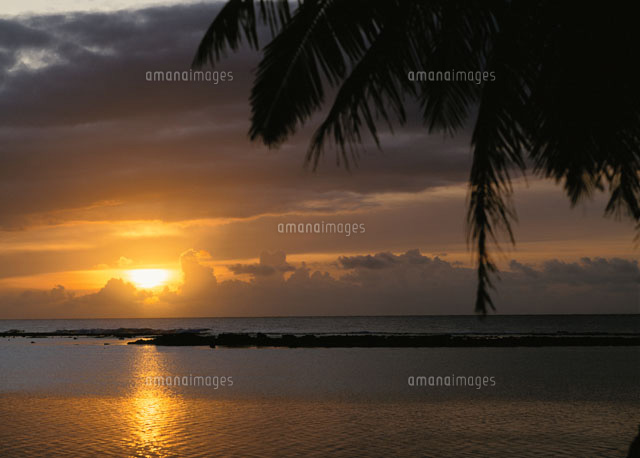 湾の夕景 ロタ
(c)KOICHIRO KITAOKU/SEBUN PHOTO