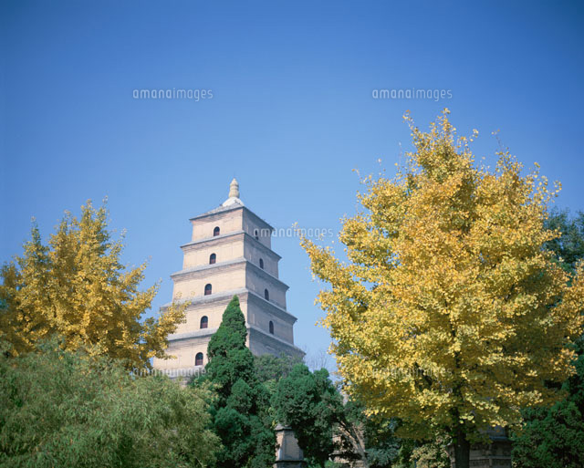 大雁塔 西安 中国
(c)KOICHIRO KITAOKU/SEBUN PHOTO
