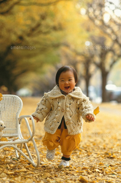 秋の街路樹の落ち葉と日本人の赤ちゃんとベビーチェアー
(c)ISAMU ONOUCHI/orion