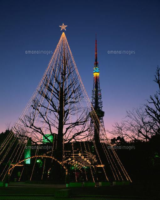 クリスマスツリーと東京タワー 東京都
(c)ISAMU ONOUCHI/orion