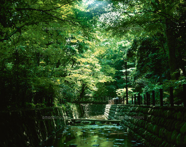 等々力渓谷 世田谷区 東京都
(c)ISAMU ONOUCHI/orion