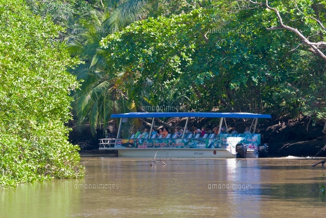 Mangrove River Cruise, Tarcoles River, Nicoya Peninsula
(c)Paul Thompson/SEBUN PHOTO
