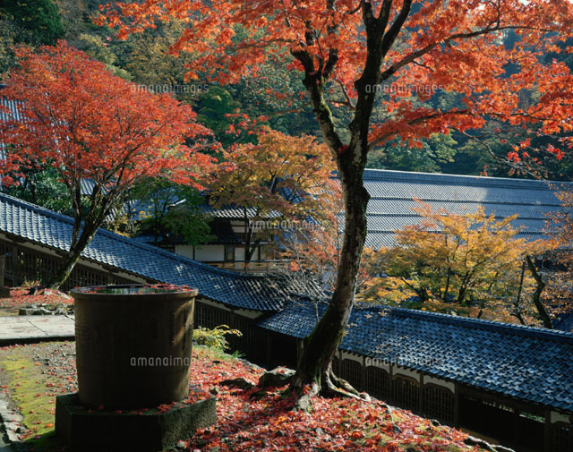 永平寺 福井県
(c)KENICHI MINORUDA/SEBUN PHOTO