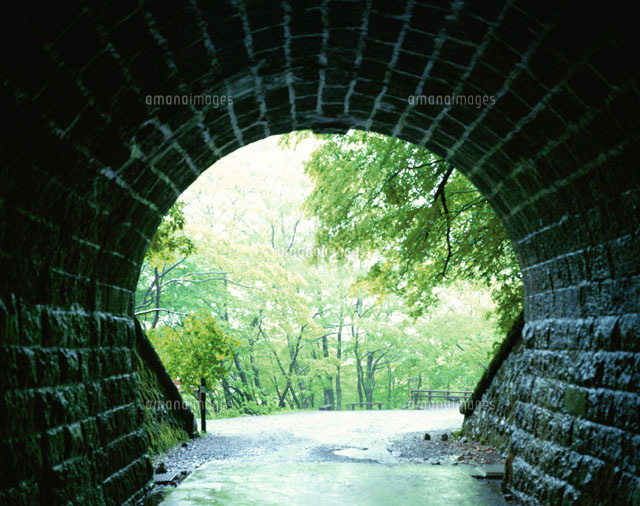 旧天城トンネルと新緑 天城峠 静岡県
(c)KENICHI MINORUDA/SEBUN PHOTO