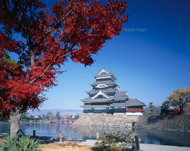秋の松本城 長野県
(c)KENICHI MINORUDA/SEBUN PHOTO